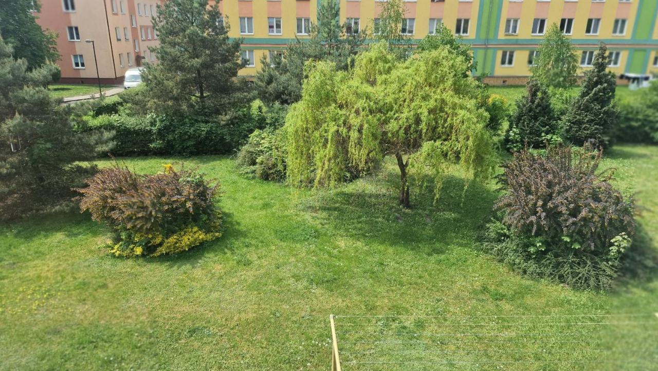 דירות Grudziądz Alfama Garden מראה חיצוני תמונה